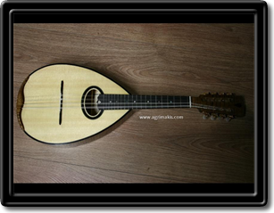 Flatback mandolin